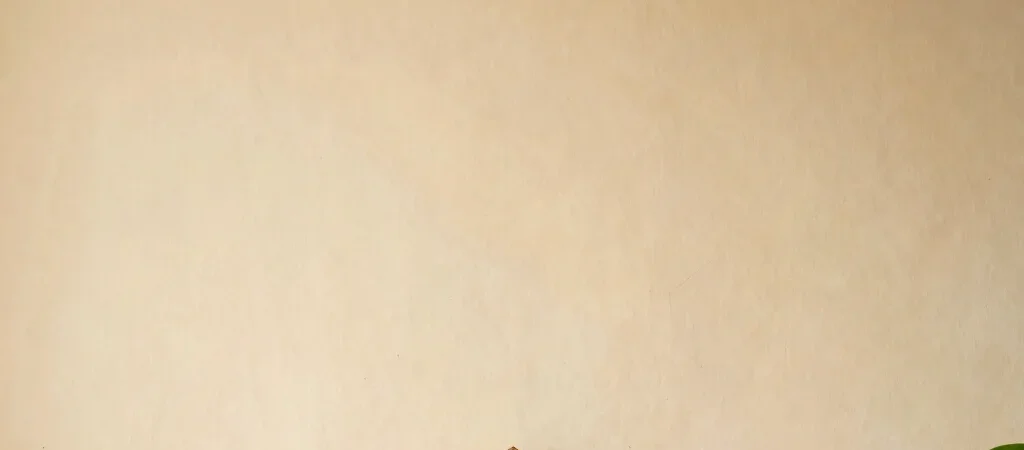 A Home Puja That Fits Daily Life